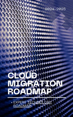 Cloud Migration Roadmap(One Year IT Consultancy)
