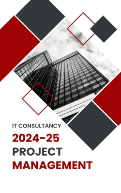 IT Project Management Consultancy (One Year)